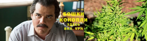 трава Балахна