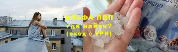 трава Балахна